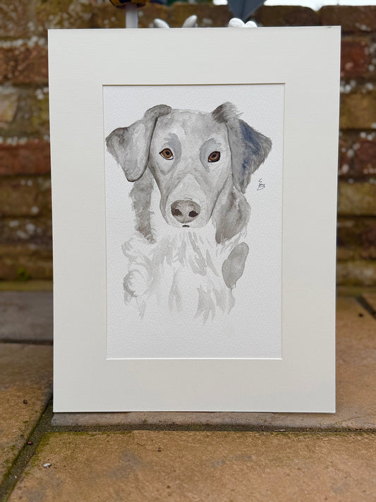 Custom watercolour pet portraits