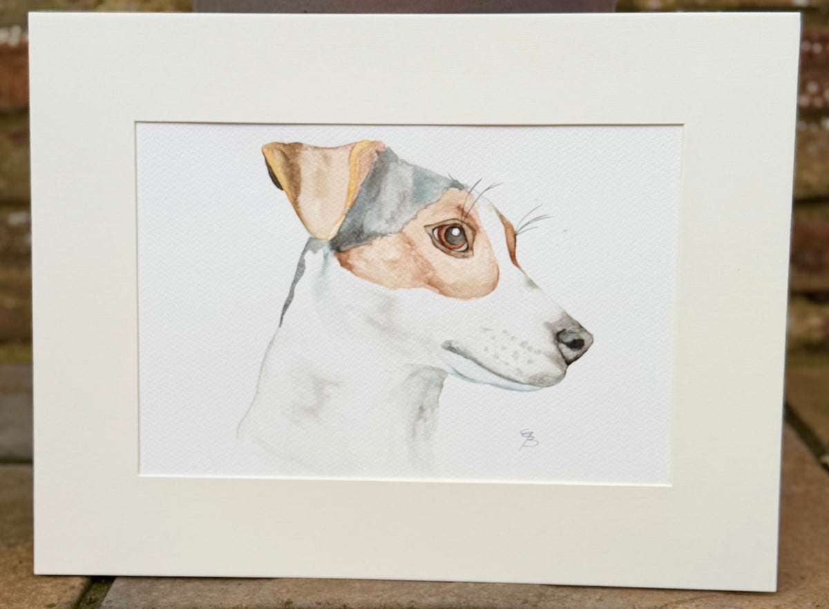 Custom watercolour pet portraits