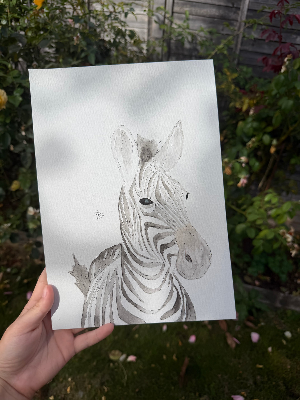 A4 Zebra watercolour painting