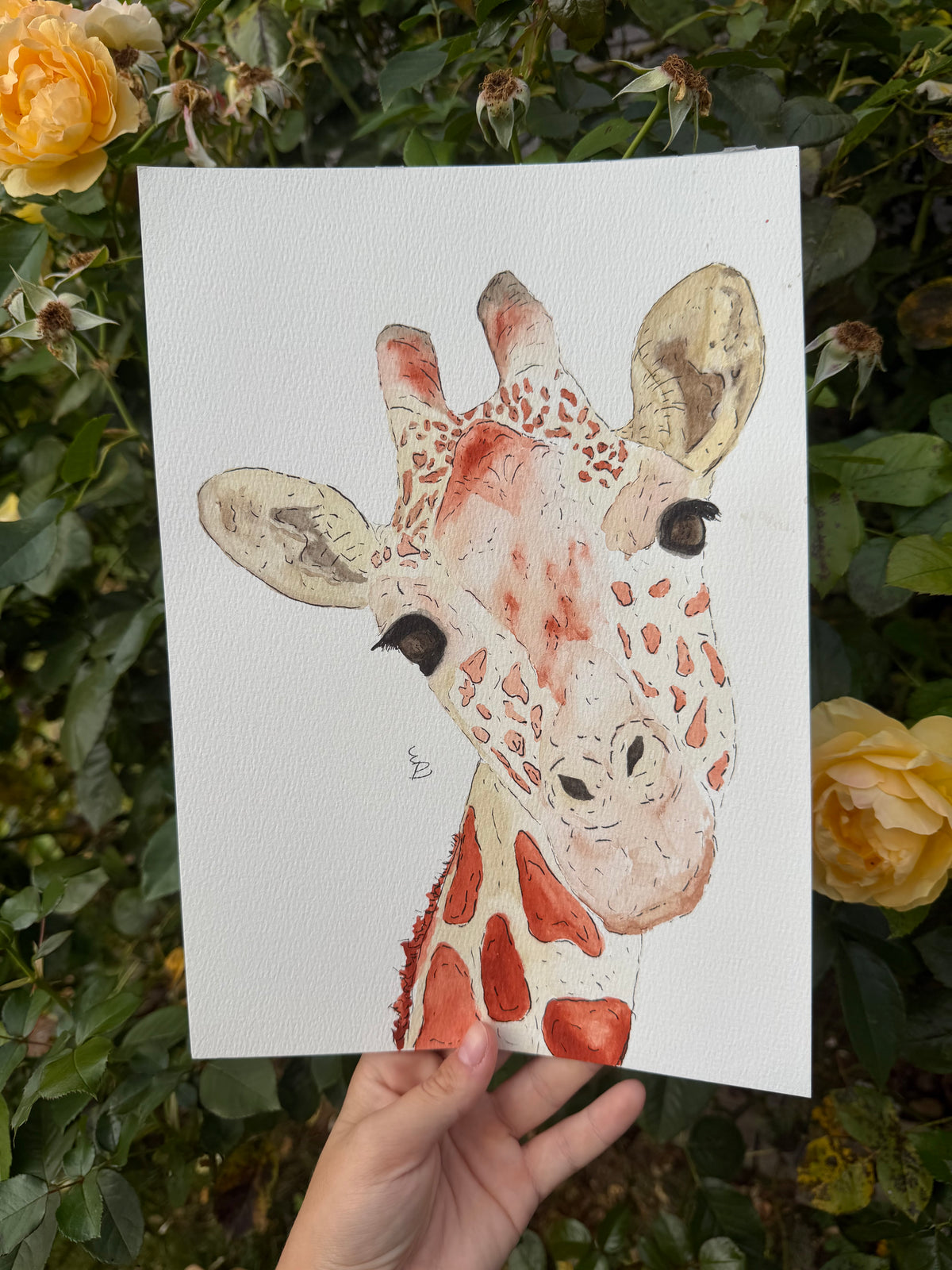 A4 giraffe Watercolour Painting