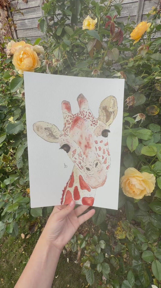 A4 giraffe Watercolour Painting